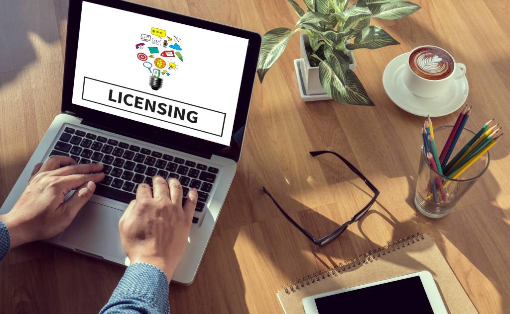 What is an EMI license and how does it work in the UK?